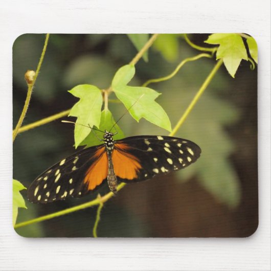 Schmetterling in einem Garten Mousepad (Vorne)