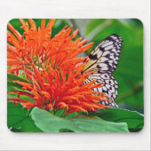 Schmetterling in Mexiko Mousepad (Vorne)