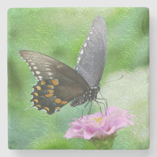Schmetterling in rosa Zinnia Steinuntersetzer