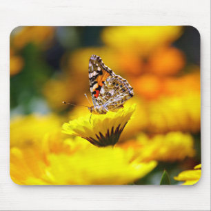 Schmetterling, Insekt, Garten Mousepad