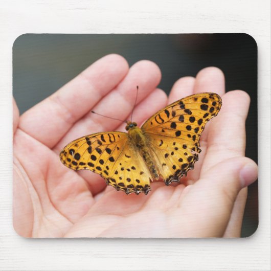Schmetterling, Insekt, Hand Mousepad (Vorne)