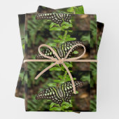 Schmetterling-Jay Geschenkpapier Set (Beispiel)