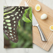 Schmetterling-Jay Geschirrtuch (Viertel Falte)