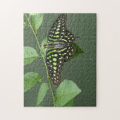 Schmetterling-Jay Puzzle (Vertikal)