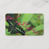Schmetterling-Jay Visitenkarte (Rückseite)