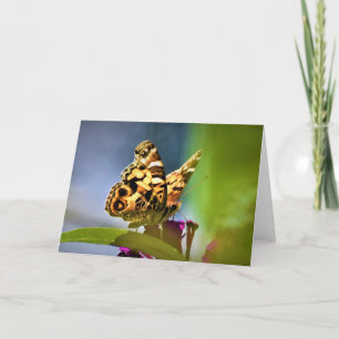 Schmetterling, Karte