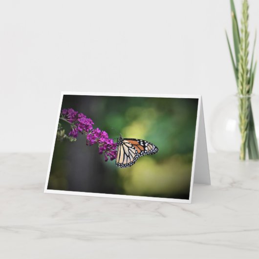 Schmetterling, Karte (Vorderseite)