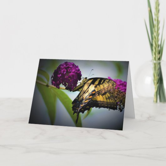 Schmetterling, Karte (Vorderseite)