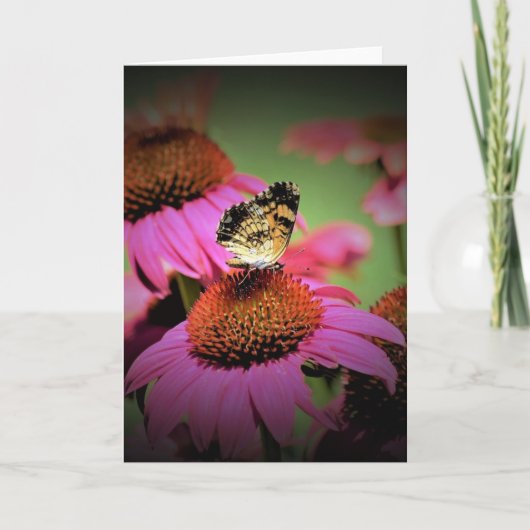 Schmetterling, Karte (Vorderseite)