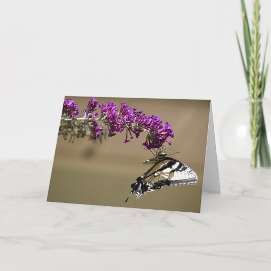 Schmetterling, Karte (Vorderseite)