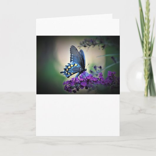 Schmetterling, Karte (Vorderseite)