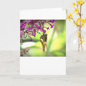 Schmetterling, Karte (Gelbe Blume)