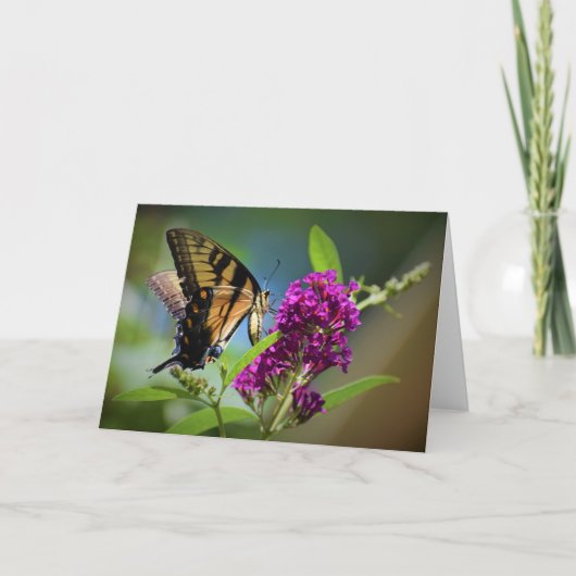 Schmetterling, Karte (Vorderseite)