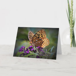 Schmetterling, Karte
