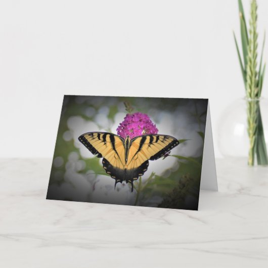 Schmetterling, Karte (Vorderseite)