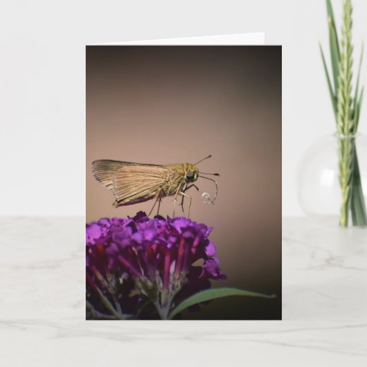 Schmetterling, Karte (Vorderseite)