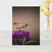 Schmetterling, Karte (Gelbe Blume)