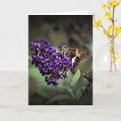 Schmetterling, Karte (Gelbe Blume)