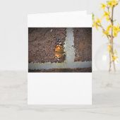 Schmetterling, Karte (Gelbe Blume)