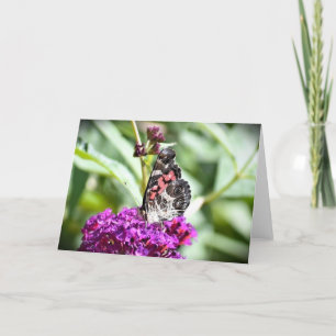 Schmetterling, Karte