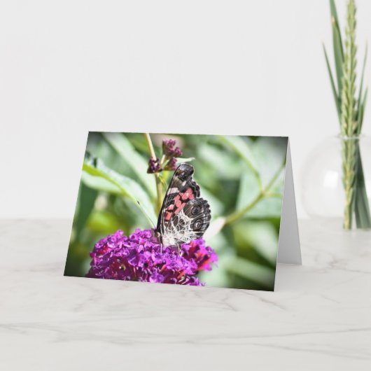Schmetterling, Karte (Vorderseite)
