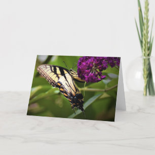 Schmetterling, Karte