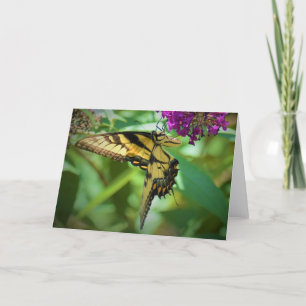 Schmetterling, Karte