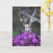 Schmetterling, Karte (Gelbe Blume)