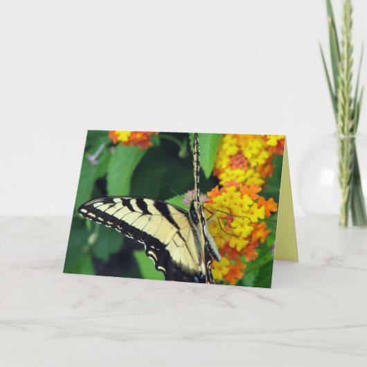 Schmetterling Karte (Vorderseite)