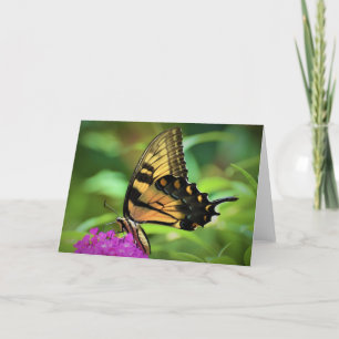 Schmetterling, Karte