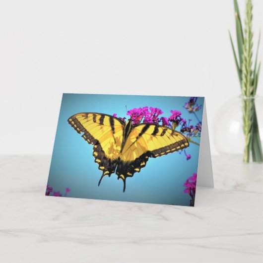 Schmetterling, Karte (Vorderseite)