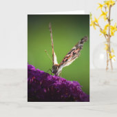 Schmetterling, Karte (Gelbe Blume)
