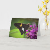 Schmetterling, Karte (Gelbe Blume)