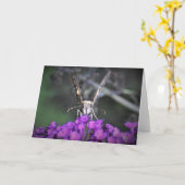Schmetterling, Karte (Gelbe Blume)