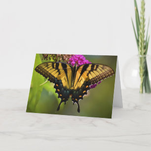 Schmetterling, Karte