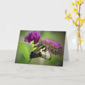 Schmetterling, Karte (Gelbe Blume)