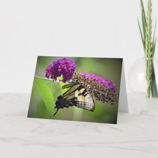 Schmetterling, Karte (Vorderseite)