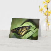 Schmetterling, Karte (Gelbe Blume)