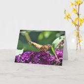 Schmetterling, Karte (Gelbe Blume)