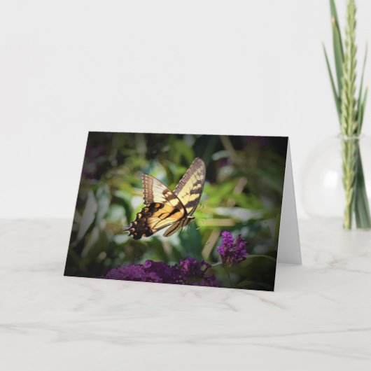 Schmetterling, Karte (Vorderseite)
