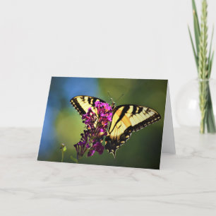 Schmetterling, Karte