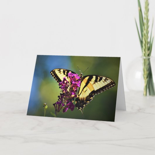 Schmetterling, Karte (Vorderseite)