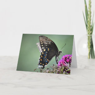 Schmetterling, Karte