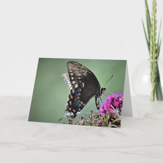 Schmetterling, Karte (Vorderseite)