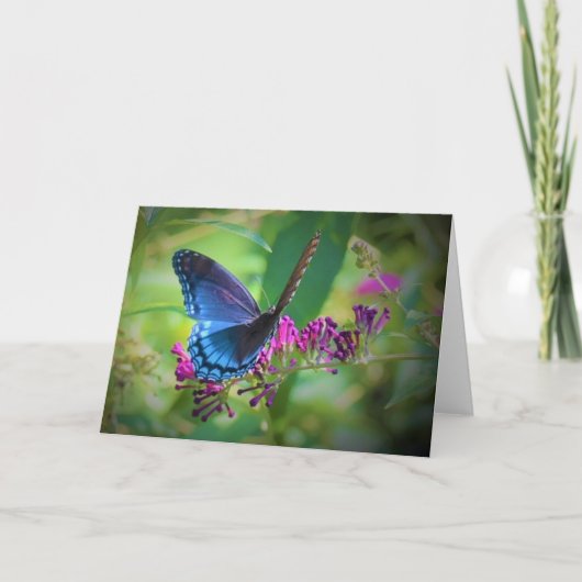 Schmetterling, Karte (Vorderseite)