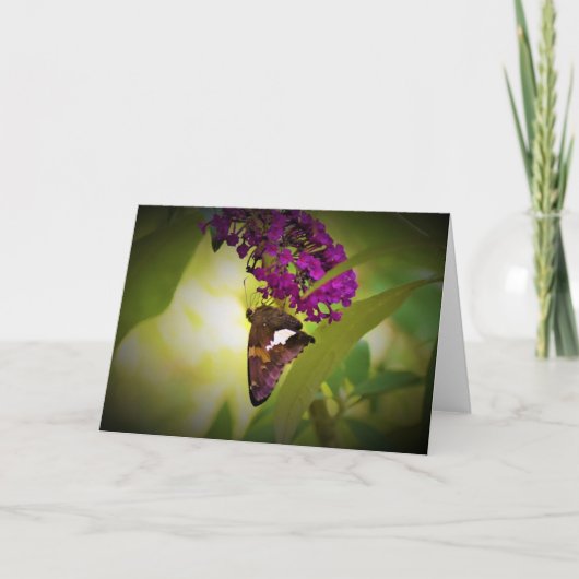 Schmetterling, Karte (Vorderseite)