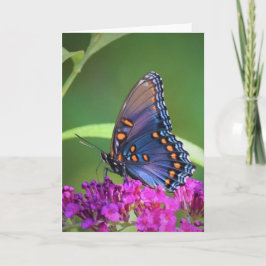 Schmetterling, Karte