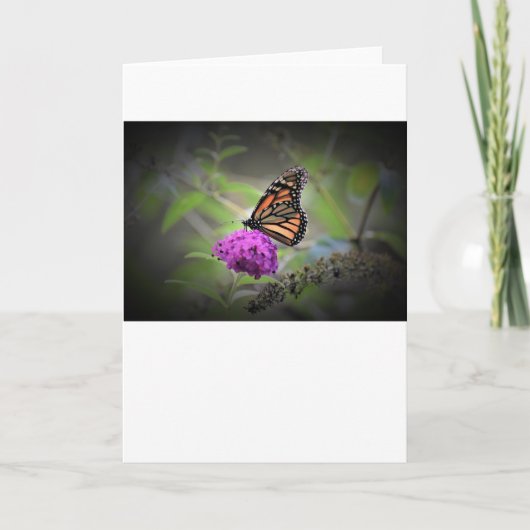 Schmetterling, Karte (Vorderseite)