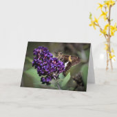 Schmetterling, Karte (Gelbe Blume)