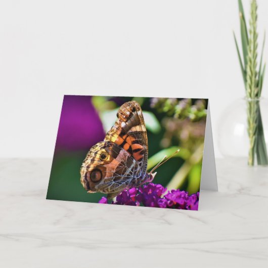 Schmetterling, Karte (Vorderseite)